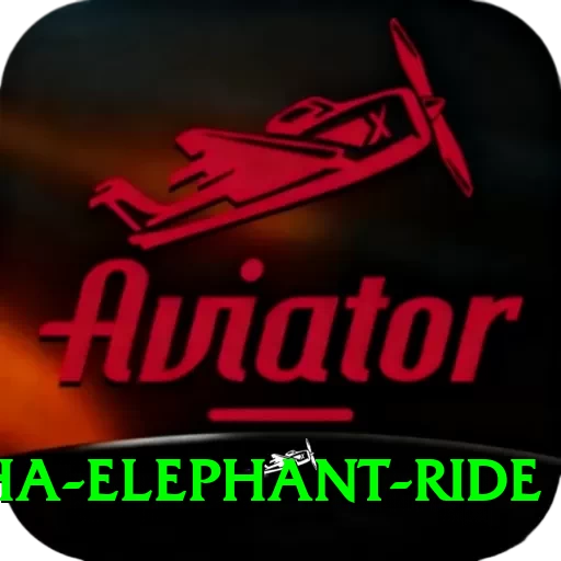 sauraha elephant ride Deluxe v4.9.2 - 2