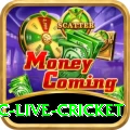 smartcric live cricket Deluxe v3.8.3