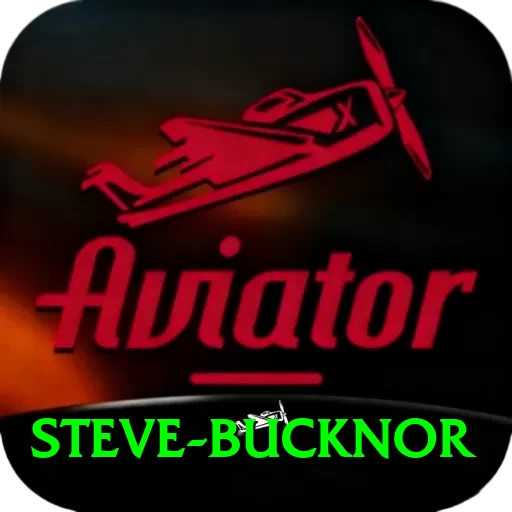 steve bucknor VIP Pro v4.2.9 - 2