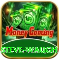 steve waugh Elite Pro v3.9.9