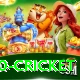 t20 cricket Master Pro v5.9.6