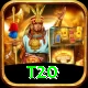 t20 Master v5.5.5