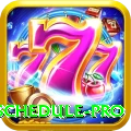 t20 match schedule VIP Gaming App
