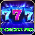 test cricket Super - Win Real PKR