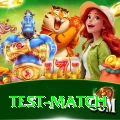 test match Apps (Tools & Injectors) Pro v4.5.6