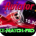 to day cricket match Game Premium v1.8.9