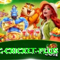 uc cricket Super Pakistan