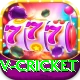 v cricket Pro