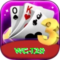 wc t20 Max Pro v5.0.4