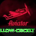 willow cricket Ultimate v5.7.5