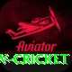 willow cricket Ultimate v5.7.5