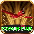 yaywin Pro Edition v1.3.1
